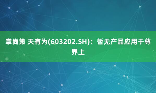 掌尚策 天有为(603202.SH)：暂无产品应用于尊界上