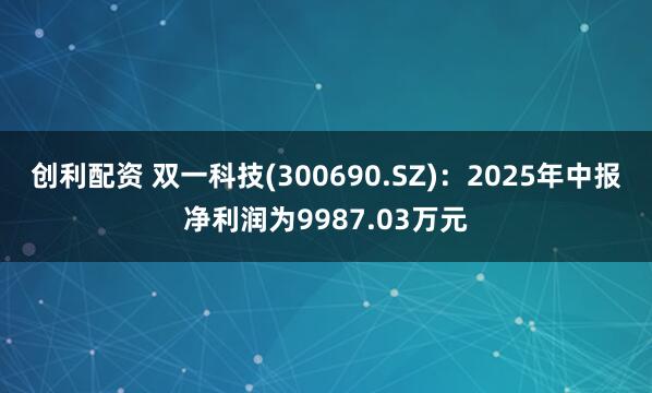 创利配资 双一科技(300690.SZ)：2025年中报净利润为9987.03万元