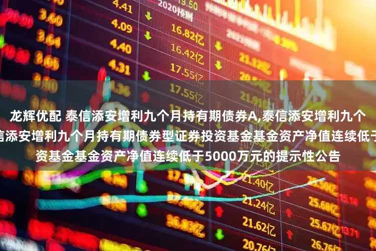 龙辉优配 泰信添安增利九个月持有期债券A,泰信添安增利九个月持有期债券C: 关于泰信添安增利九个月持有期债券型证券投资基金基金资产净值连续低于5000万元的提示性公告