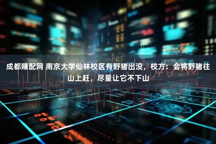 成都赚配网 南京大学仙林校区有野猪出没，校方：会将野猪往山上赶，尽量让它不下山