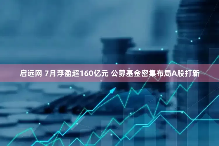 启远网 7月浮盈超160亿元 公募基金密集布局A股打新