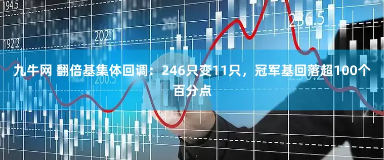 九牛网 翻倍基集体回调：246只变11只，冠军基回落超100个百分点